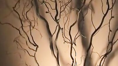 Blond Gay Porn Latino Angels Couch Buddies