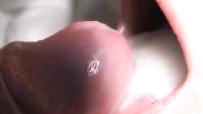 Cum in Mouth: The Ultimate Cumshot Experience