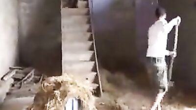 Gay Porn Group Sex Farm Boy Fun! - This hot video brings you the hottest moments between farm boys who cant wait to explore their sexuality.