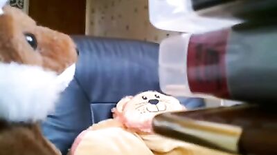 Web-Cam Handjob Reunion: Looking for cam and More!