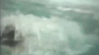 Vintage Fun At The Pool Revisited - Bareback Cum Shots