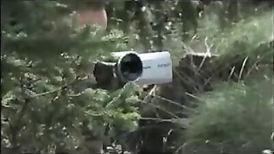 Bareback Affair Caught on Tape