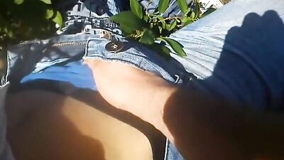 Young Garden - A New Sleeping Beauty