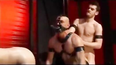 Bareback Group Fetish Peto Coast