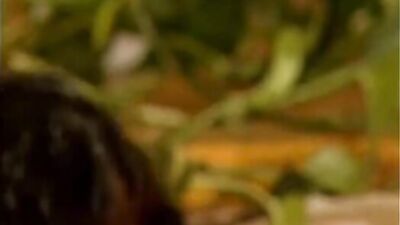 Big Bareback Dicks: He Likes Them All!