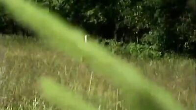 Bareback Adventure: The Ultimate Thrill Ride!