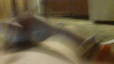 Gay Porn Skype Cum Shots Bisexual First Time: GoodTime6989s Custom Videos