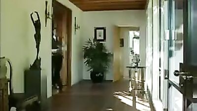 Action Packed Holiday - A Gay Porn Adventure!