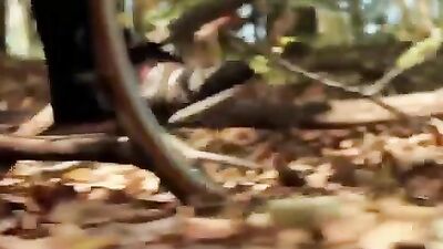 Gay Ducks Migration Short Films - The hottest collection of men in their natural habitat!