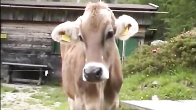 Farm Fresh Thrills: Two Rural Rascals Get Down and Dirty