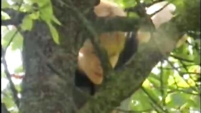 Under An Appletree In Germany - Threesome Bliss With Twinky Boys!