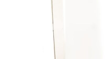 Blond Bareback Speedo Lovers Cum Shots