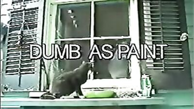 Bareback Vintage Bangers: Dumb as Paint - An Oldie but a Goodie!