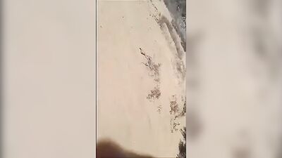 Walking with Big Cocks: If I was this hung...