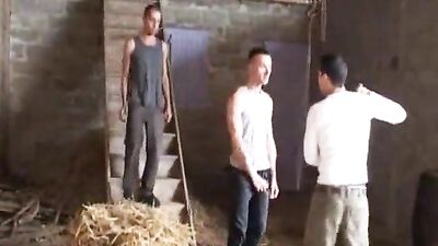 Gay Barn Trio: Hardcore Fun in the Country!