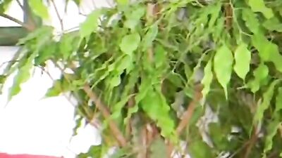 Gay Porn - Bisexual Friends Bisexual Friends Action