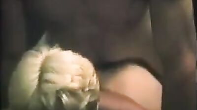 Explore Your Wild Side with Bareback Vintage!