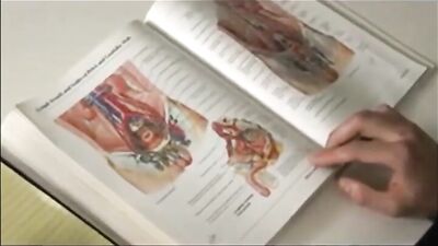 Smutty Study Sessions: Three Twinks Get Down on Homework