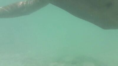 Twinks Underwater: Amateur Oral Handjob!