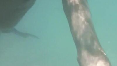 Twinks Underwater: Amateur Oral Handjob!