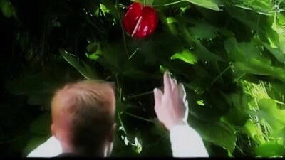 Moody Blues Short Film Afternoon Tuesday: Gay Porn Explosion!