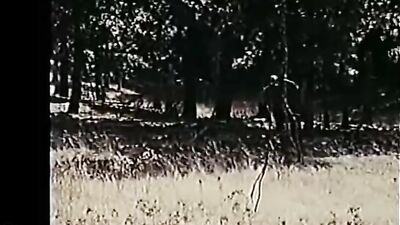 Song of the Loon: The Journey of Discovery