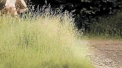 Gay Tube JBS Duo Twinks Action Porn!