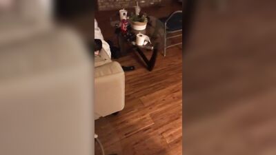 Teen Jocks Explore Their Sexuality in Nude Brother Bondage!