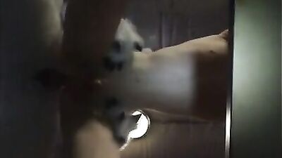 Gay Twinks Take on Horses in Raw Amateur Action!