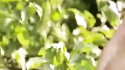 Gay Fruit Lust - The Ultimate Bareback Experience!