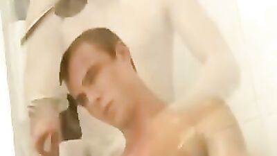 The Big Cock Stallion