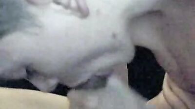 Gay Web-Cam Porn - Self-Suck & Cum in Mouth Adventure!