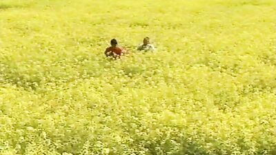 Adrian et Marcels Cum Shots & Big Cocks Dream! - The Ultimate Gay Porn Experience!