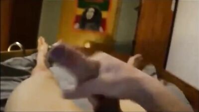 Webcam Cum-Share: Twinks Bed-Time Ritual Exposed!