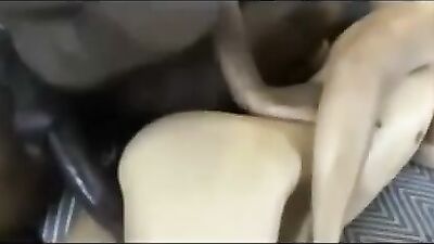 Curly-haired Latino Twinks by Black Daddy: The Ultimate Gay Porn Experience!