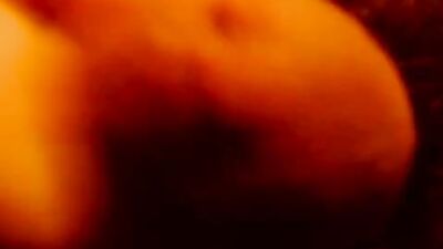 My Horny Cam Boys: A Gay Porn Video Adventure!