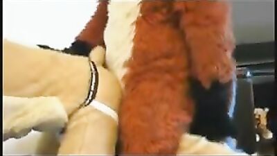 Lion and Fox Plushie Sex: Fetish Action Doubled!