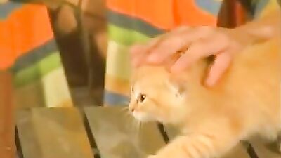 Gay Porn in Barn: Action Group Sex - Revisited!