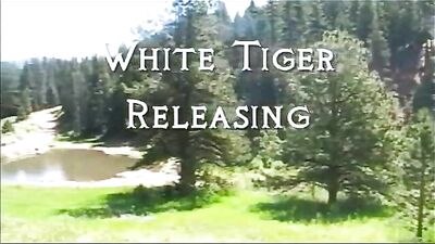 Twink Dreams - Hardcore Public Sex with Big Cocks