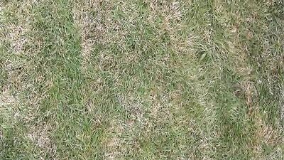 Gay Porn Twink Behind Scenes Fun - Cute Adventure!