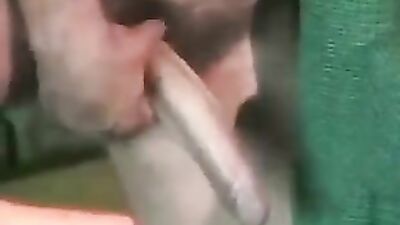 Step into My World: Daddy Knows Best Action