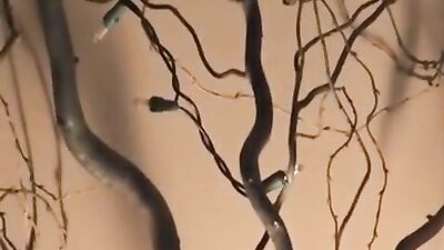 Spoon Me Bareback Fuck!