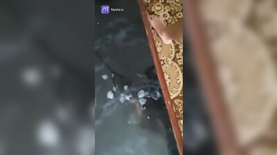 Big Cock Polish Delight: Uncut and Ready for Action!