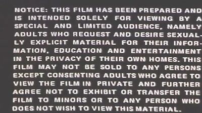 Magnum Griffin 2 - The Return: Action Bareback Mix Oral Gay Porn Videos