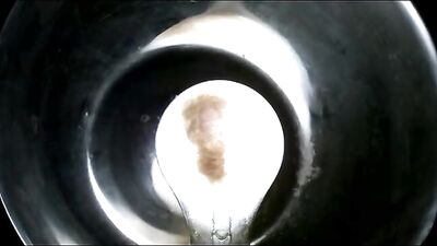 Love Through Time: A Gay Porn Video Collection