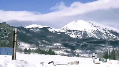 Gay Porn Cabin Room Flip-Flop Friends Fuck Sex Show Cam Tube - Naughty Action Ass Play Bareback Handjob Interracial Oral