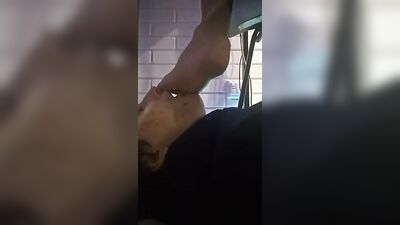 Young Twinkie Feet Worship: The Ultimate Foot Fetish Experience!