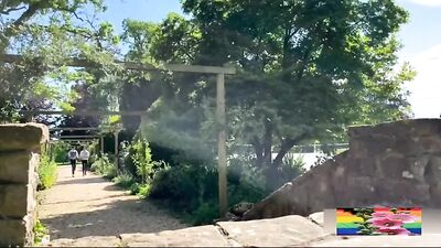 Gay Porn Bareback Twinks Non Stop Fucking