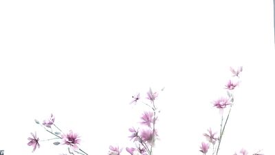 Christian Lundgrens Bareback Plow with Matthieu Pique!