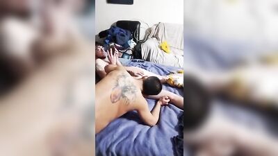 Gay Porn - Horny Nerd Web-Cam Show: Bareback Action Amateur Oral Big Cocks Handjob